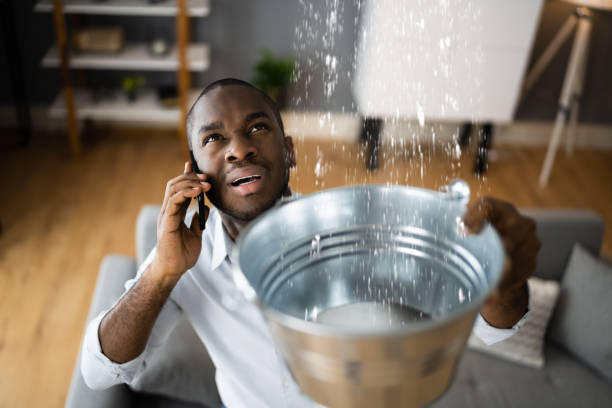 Best Local water damage restoration  in Lovettsville, VA