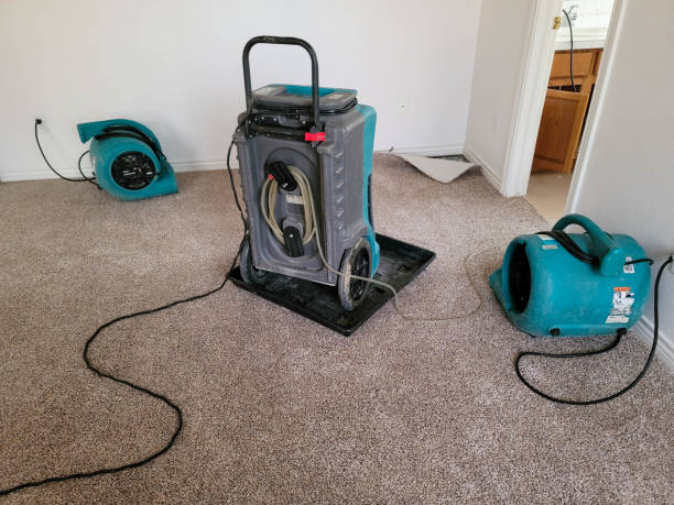 Best 24-hour water damage restoration  in Lovettsville, VA