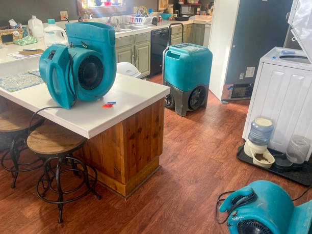 Best Flood damage cleanup  in Lovettsville, VA