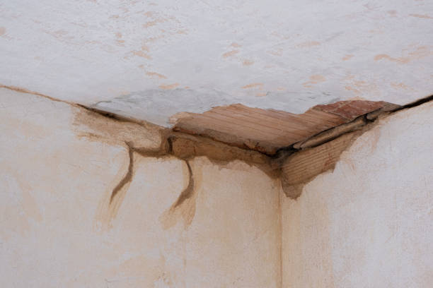 Best Flood restoration services  in Lovettsville, VA