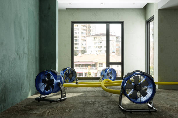 Best Water damage restoration process  in Lovettsville, VA